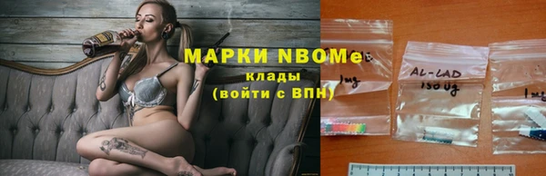 шишки Верхний Тагил