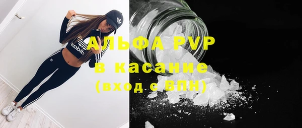 шишки Верхний Тагил