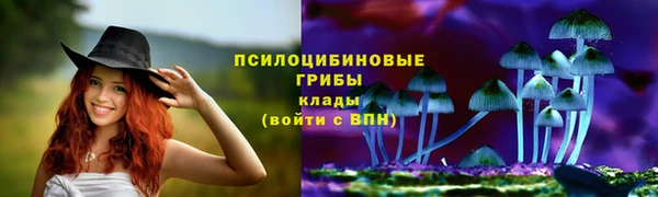 mdpv Верея