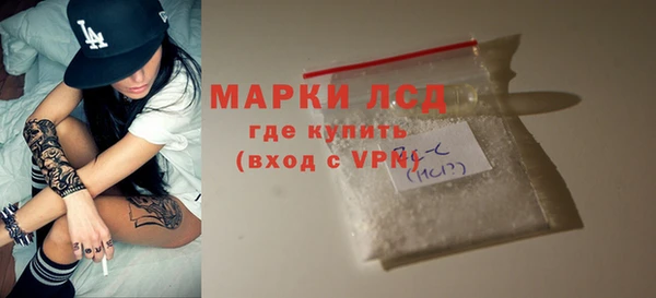 шишки Верхний Тагил