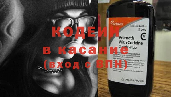 шишки Верхний Тагил
