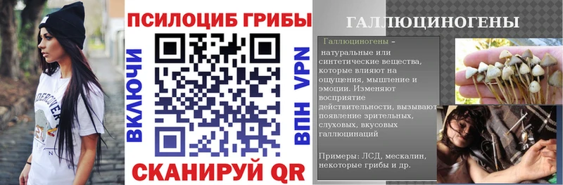 Галлюциногенные грибы GOLDEN TEACHER  закладка  Гагарин 